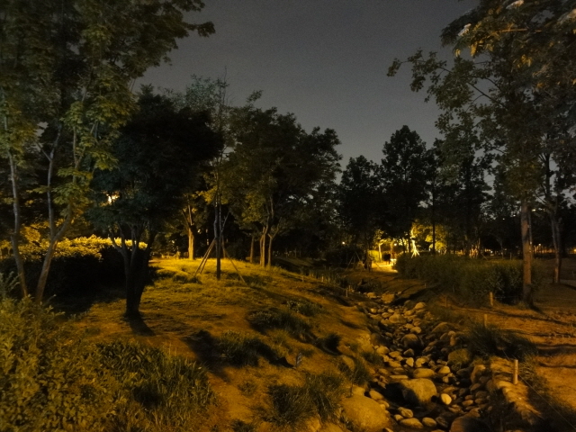 [DSC-WX1] 015.jpg
